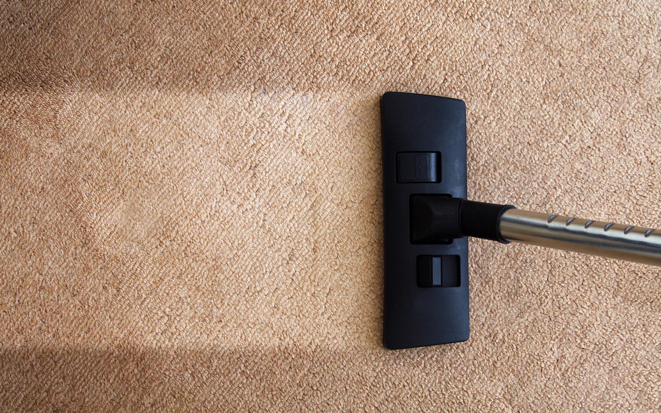 Carpet Agitation for Removing Stubborn Pet Hair