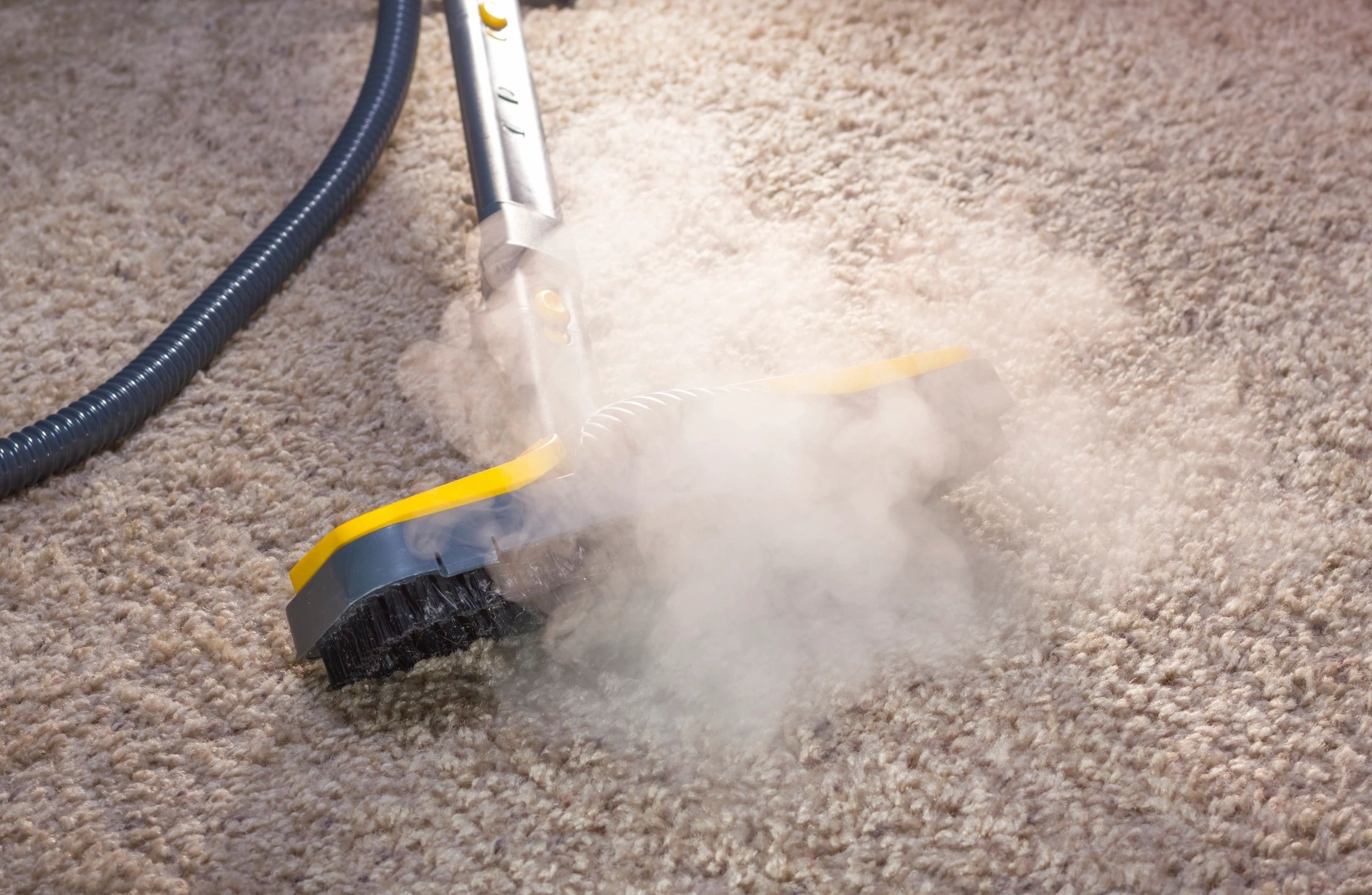 Professional Carpet Agitation for Removing Stubborn Pet Hair